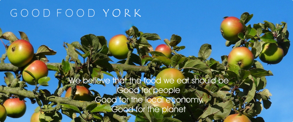 Good Food York header
